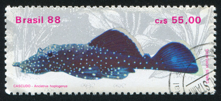 BRAZIL - CIRCA 1988: stamp printed by Brazil, shows  Fresh-water Fish, Ancistrus hoplogenys, circa...