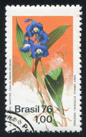 BRAZIL - CIRCA 1976: stamp printed by Brazil, shows  flower, circa 1976のeditorial素材