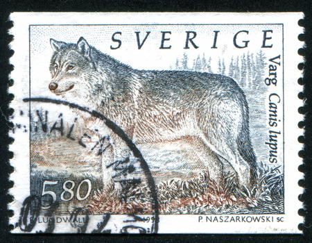 SWEDEN - CIRCA 1998: stamp printed by Sweden, shows wolf, circa 1998