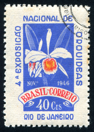 BRAZIL - CIRCA 1946: stamp printed by Brazil, shows  Orchid, circa 1946のeditorial素材