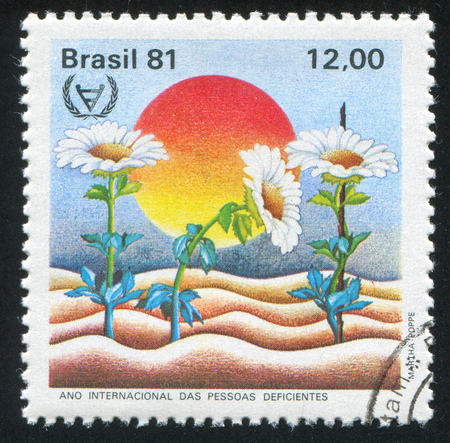 BRAZIL - CIRCA 1981: stamp printed by Brazil, shows  camomile, circa 1981のeditorial素材
