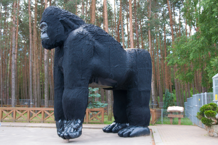 Sculpture big black gorilla around the zoo in Poland.の写真素材