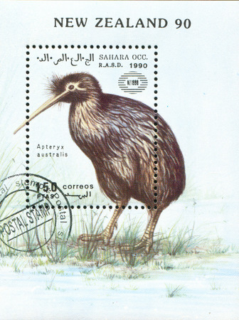 NEW ZEALAND - CIRCA 1990: stamp printed by New Zealand, shows kiwi bird, circa 1990のeditorial素材