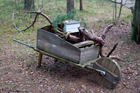 National park Curonian Spit. Old wooden wheelbarrow in the forest.の写真素材