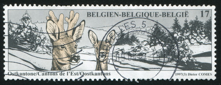 RUSSIA KALININGRAD, 20 OCTOBER 2015: stamp printed by Belgium, shows Eastern Cantons Deer, circa...
