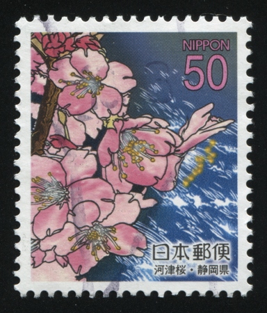 RUSSIA KALININGRAD, 18 MARCH 2016: stamp printed by Japan shows flower, circa 2012のeditorial素材