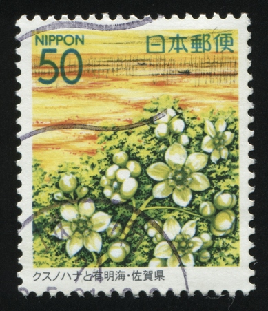 RUSSIA KALININGRAD, 18 MARCH 2016: stamp printed by Japan shows flower, circa 2012のeditorial素材