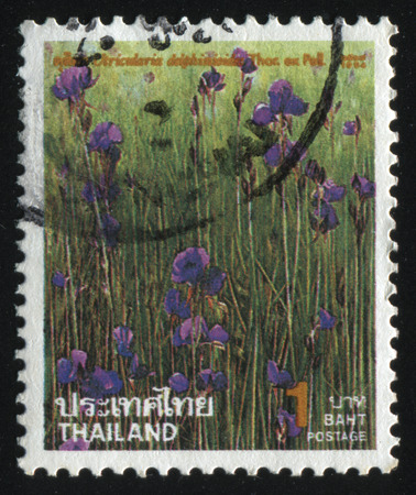 RUSSIA KALININGRAD, 3 JUNE 2016: stamp printed by Thailand shows flower, circa 1994のeditorial素材