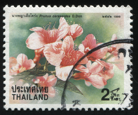 RUSSIA KALININGRAD, 3 JUNE 2016: stamp printed by Thailand shows flower, circa 1999