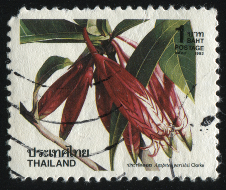 RUSSIA KALININGRAD, 3 JUNE 2016: stamp printed by Thailand shows flower, circa 1992のeditorial素材