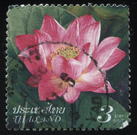 RUSSIA KALININGRAD, 3 JUNE 2016: stamp printed by Thailand shows flower, circa 2003のeditorial素材