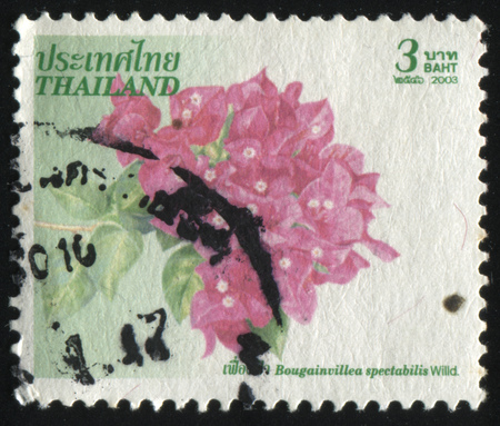 RUSSIA KALININGRAD, 3 JUNE 2016: stamp printed by Thailand shows flower, circa 2003のeditorial素材