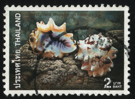 RUSSIA KALININGRAD, 3 JUNE 2016: stamp printed by Thailand shows flower, circa 1997のeditorial素材