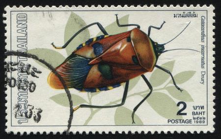 RUSSIA KALININGRAD, 31 MAY 2016: stamp printed by Thailand shows beetle, circa 1989