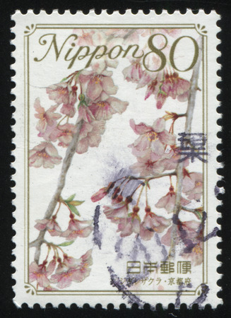 RUSSIA KALININGRAD, 19 APRIL 2016: stamp printed by Japan shows flower, circa 2012のeditorial素材