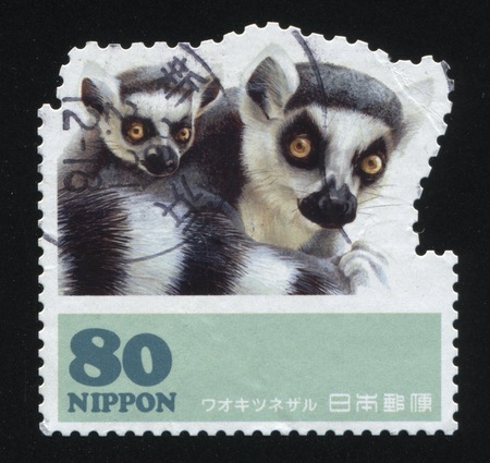 RUSSIA KALININGRAD, 18 MARCH 2016: stamp printed by Japan shows lemur, circa 2007のeditorial素材