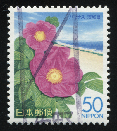 RUSSIA KALININGRAD, 19 APRIL 2016: stamp printed by Japan shows flower, circa 2012のeditorial素材