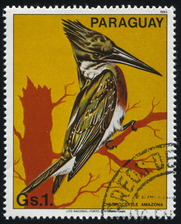 RUSSIA KALININGRAD, 22 APRIL 2017: stamp printed by Paraguay, shows bird stamp, circa 1983のeditorial素材
