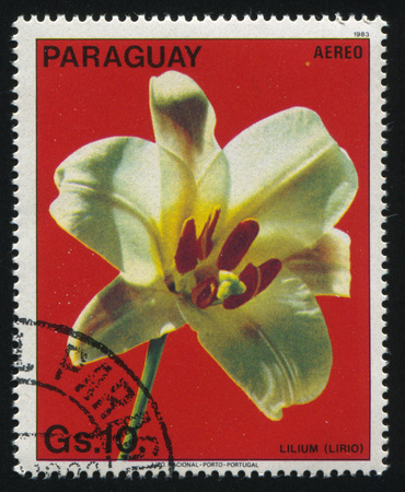 RUSSIA KALININGRAD, 22 APRIL 2017: stamp printed by Paraguay, shows beautiful flower stamp, circa 1983のeditorial素材