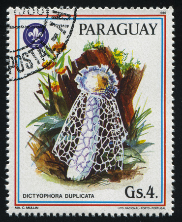 RUSSIA KALININGRAD, 19 APRIL 2017: stamp printed by Paraguay, shows mushroom, circa 1986のeditorial素材