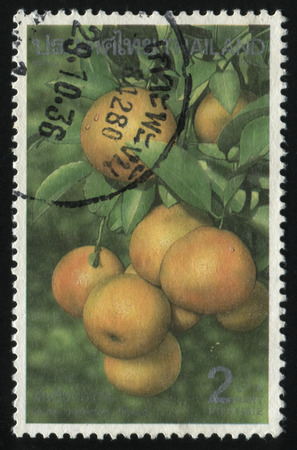 RUSSIA KALININGRAD, 2 JUNE 2016: stamp printed by Thailand, shows tangerines, circa 1993のeditorial素材