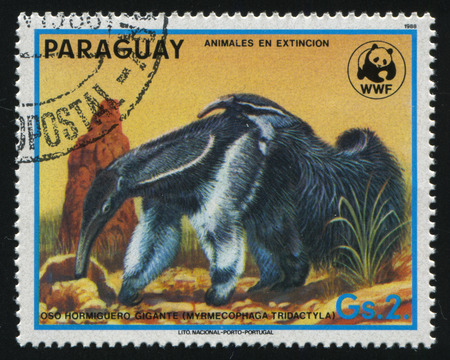 RUSSIA KALININGRAD, 22 APRIL 2017: stamp printed by Paraguay, shows Myrmecophaga tridactyla, circa 1988のeditorial素材