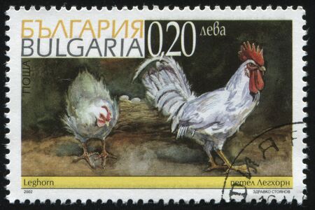 RUSSIA KALININGRAD, 26 MARCH 2019: stamp printed by Bulgaria shows cock, circa 2002のeditorial素材