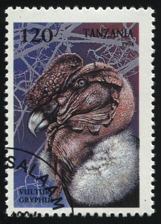 RUSSIA KALININGRAD, 25 MARCH 2019: stamp printed by Tanzania shows bird, circa 1994のeditorial素材