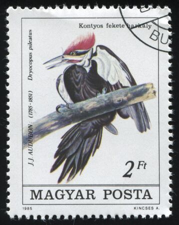 RUSSIA KALININGRAD, 27 MARCH 2019: stamp printed by Hungary shows bird on a branch, circa 1985のeditorial素材