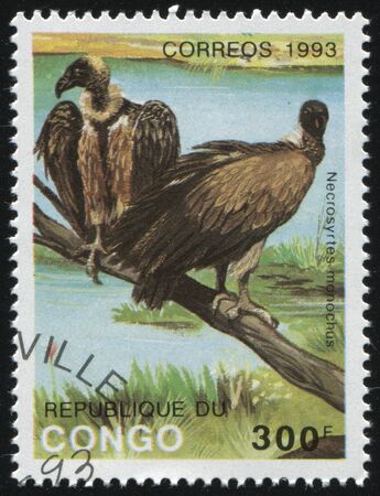 RUSSIA KALININGRAD, 26 MARCH 2019: stamp printed by Congo shows bird on a branch, circa 1993のeditorial素材