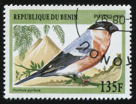 RUSSIA KALININGRAD, 27 MARCH 2019: stamp printed by Benin shows bird on a branch, circa 1997のeditorial素材