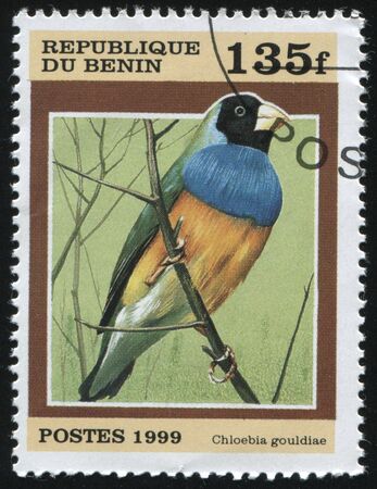 RUSSIA KALININGRAD, 27 MARCH 2019: stamp printed by Benin shows bird on a branch, circa 1999のeditorial素材