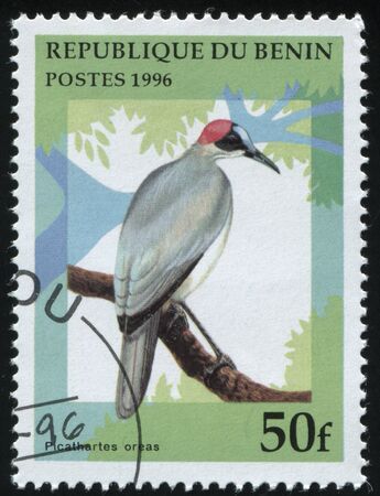RUSSIA KALININGRAD, 27 MARCH 2019: stamp printed by Benin shows bird on a branch, circa 1996のeditorial素材