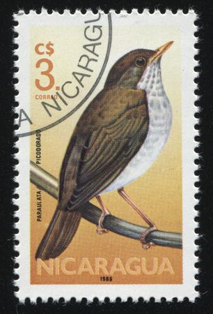 RUSSIA KALININGRAD, 26 MARCH 2019: stamp printed by Nicaragua shows bird on a branch, circa 1986のeditorial素材