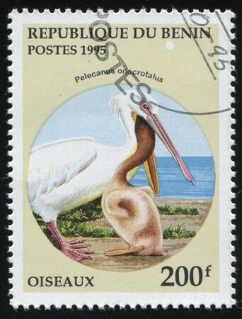 RUSSIA KALININGRAD, 27 MARCH 2019: stamp printed by Benin shows pelican, circa 1995のeditorial素材
