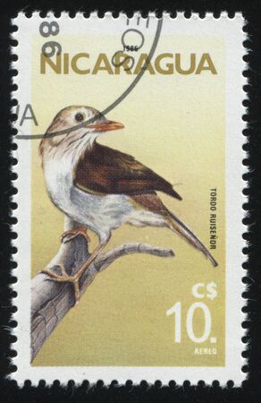 RUSSIA KALININGRAD, 26 MARCH 2019: stamp printed by Nicaragua shows bird on a branch, circa 1986のeditorial素材