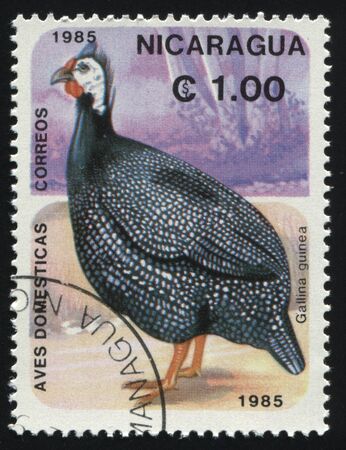 RUSSIA KALININGRAD, 26 MARCH 2019: stamp printed by Nicaragua shows turkey, circa 1985のeditorial素材