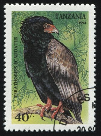 RUSSIA KALININGRAD, 25 MARCH 2019: stamp printed by Tanzania shows bird, circa 1994のeditorial素材