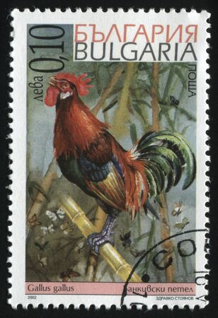 RUSSIA KALININGRAD, 26 MARCH 2019: stamp printed by Bulgaria shows bird on a branch, circa 2002のeditorial素材