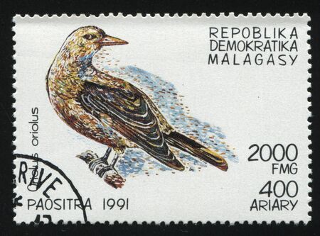 RUSSIA KALININGRAD, 26 MARCH 2019: stamp printed by Malagasy shows bird on a branch, circa 1991のeditorial素材