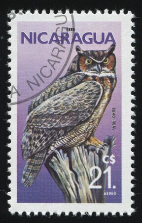 RUSSIA KALININGRAD, 26 MARCH 2019: stamp printed by Nicaragua shows bird on a branch, circa 1986のeditorial素材