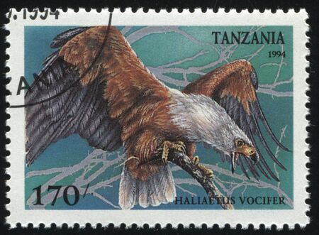 RUSSIA KALININGRAD, 25 MARCH 2019: stamp printed by Tanzania shows bird, circa 1994のeditorial素材