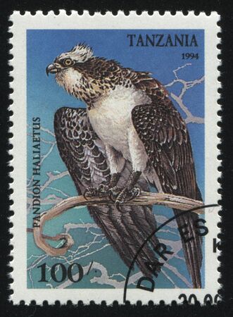 RUSSIA KALININGRAD, 25 MARCH 2019: stamp printed by Tanzania shows bird, circa 1994のeditorial素材