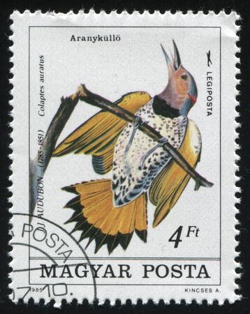 RUSSIA KALININGRAD, 27 MARCH 2019: stamp printed by Hungary shows bird on a branch, circa 1985のeditorial素材