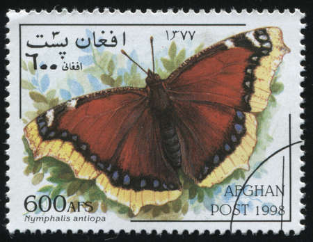 RUSSIA KALININGRAD, 28 MARCH 2019: stamp printed by Afghanistan shows butterfly, circa 1998のeditorial素材