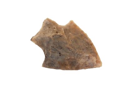indian arrowhead isolated on white backgroundの写真素材