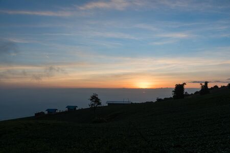 morning sunlight in cabbage field at Tub Burk mountain in Thailand