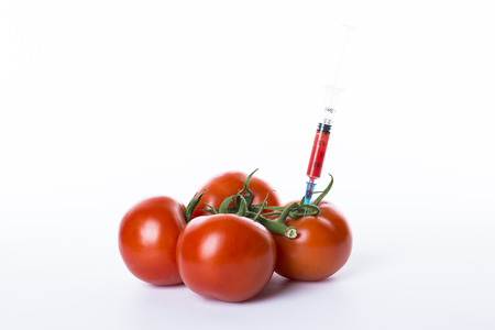 A bunch of a genetically modified fresh, red and juicy tomatoes isolatedの写真素材