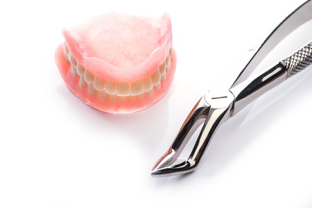 Teeth model with forceps on white surfaceの写真素材