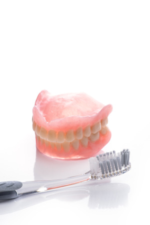 Teeth model with toothbrush on white surfaceの写真素材
